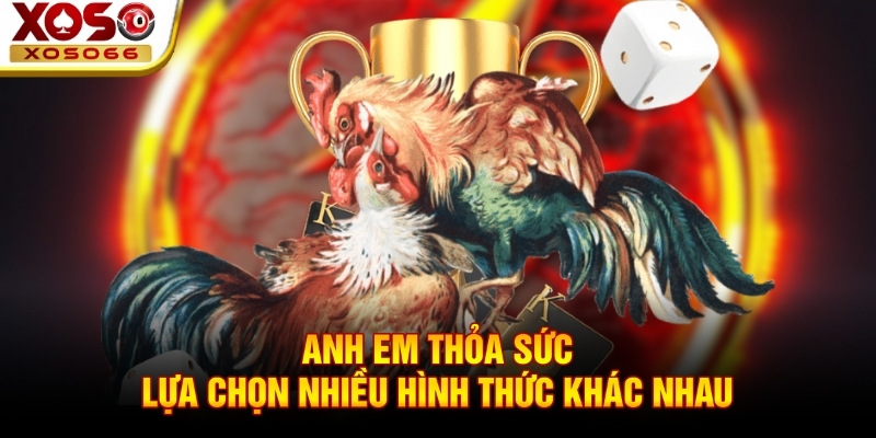 Anh em thỏa sức lựa chọn nhiều hình thức khác nhau