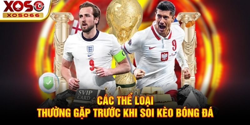 Các thể loại thường gặp trước khi soi kèo bóng đá
