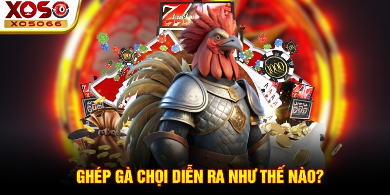 Ghép gà chọi diễn ra như thế nào?