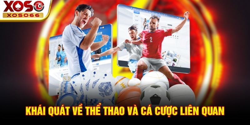 Khái quát về thể thao và cá cược liên quan