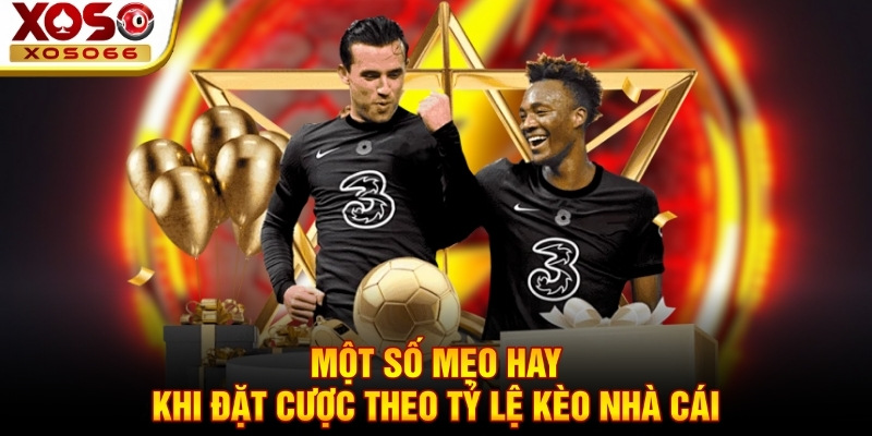 Một số mẹo hay khi đặt cược theo tỷ lệ kèo nhà cái
