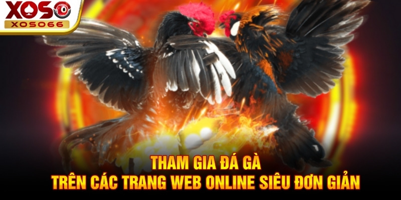 Tham gia đá gà trên các trang web online siêu đơn giản