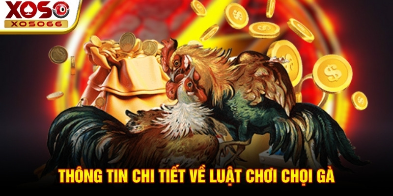 Thông tin chi tiết về luật chơi chọi gà