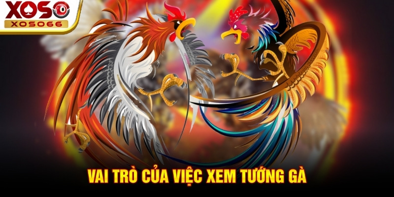 Vai trò của việc xem tướng gà